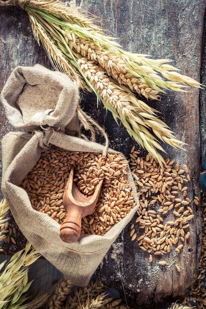 Premium Wheat